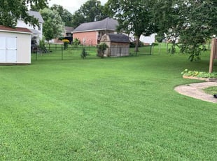 Tatevik H.'s lawn care service result
