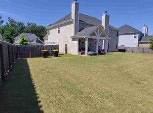 Ali M.'s grass cutting service result
