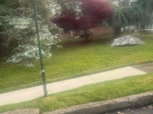 Dan G.'s lawn maintenance service result