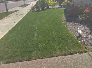 LaRon H.'s turf maintenance service result