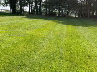 Earle T.'s lawn service service result