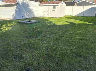 Sohil B.'s grass cutting service result