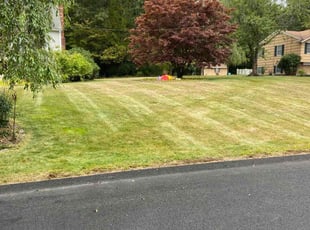 Sharoon I.'s grass maintenance service result