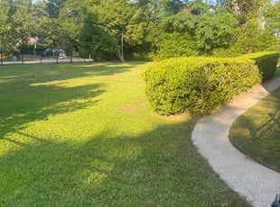 Tim S.'s turf maintenance service result