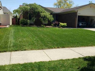 Sherry D.'s lawn care service result