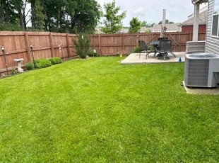 Penelope B.'s grass maintenance service result