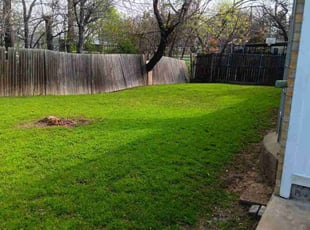 Burton S.'s lawn service service result
