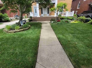 Loretta B.'s grass maintenance service result