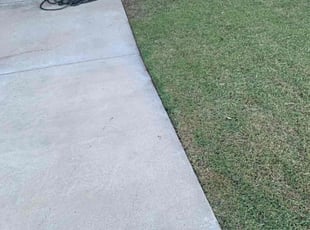 Doniel T.'s lawn service service result