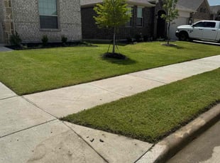 Peter A.'s lawn maintenance service result