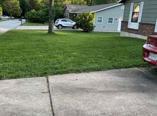 Luther C.'s turf care service result