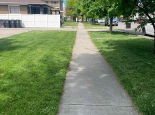 Kim L.'s lawn maintenance service result