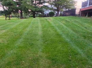 YOUN SUN J.'s turf maintenance service result
