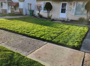 Pamela S.'s turf maintenance service result
