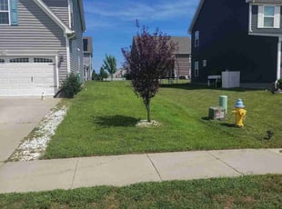 Don K.'s grass cutting service result