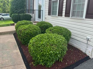 Cristobal C.'s lawn care services service result
