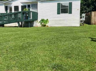 James M.'s grass cutting service result