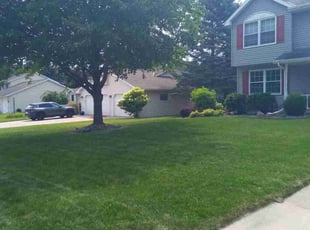 Marie L.'s lawn maintenance service result