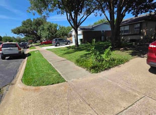 Carlene N.'s turf care service result
