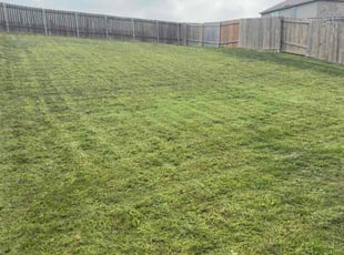 Jennifer R.'s turf maintenance service result