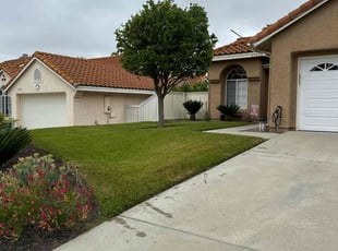 Patricia C.'s grass cutting service result