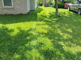 Maureen D.'s lawn maintenance service result