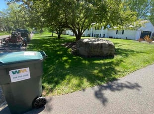 Laura W.'s turf care service result