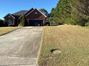 Josh L.'s Flower Bed Weeding service result