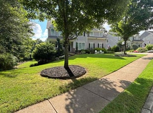 Mike W.'s grass cutting service result
