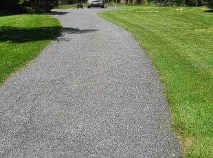 Tanya R.'s grass maintenance service result