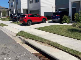Kristie A.'s grass cutting service result