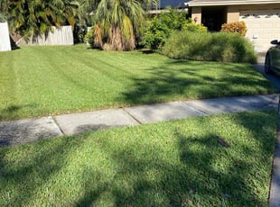 Anthony G.'s grass cutting service result