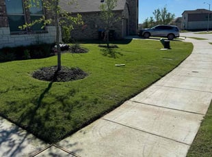 Mary M.'s lawn care services service result