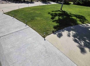 Nicole P.'s grass cutting service result