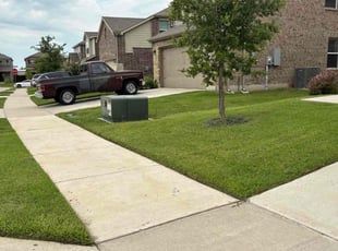 Rosam W.'s turf care service result