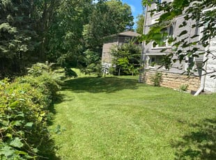 Jenny S.'s grass cutting service result