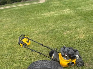 Patricia M.'s lawn care service result