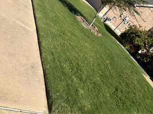 Karen W.'s Cleanups service result