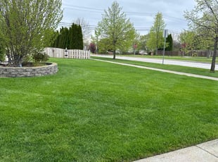sasha s.'s lawn maintenance service result
