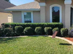 Mylanah A.'s Bush Trimming service result