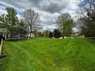 Bentley W.'s lawn care service result