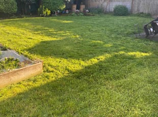 Sandra M.'s lawn care service result