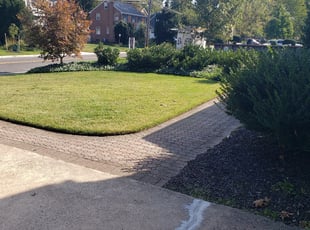 Zed F.'s turf care service result