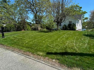 Topher R.'s lawn maintenance service result