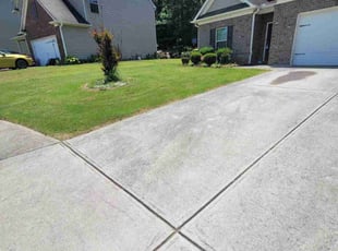 Ron F.'s grass cutting service result