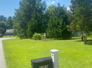 Anna T.'s grass maintenance service result