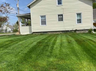 Emily B.'s turf care service result