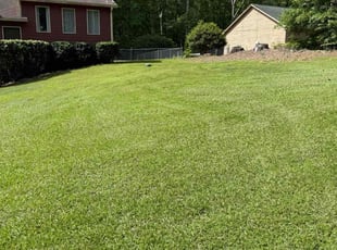 Terry R.'s turf maintenance service result