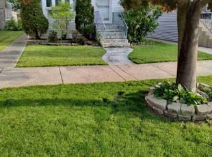 Donna V.'s turf maintenance service result