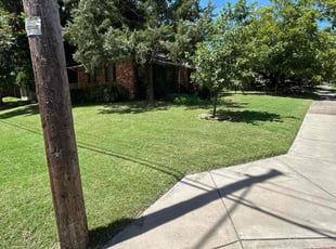 Gwendolyn T.'s lawn service service result